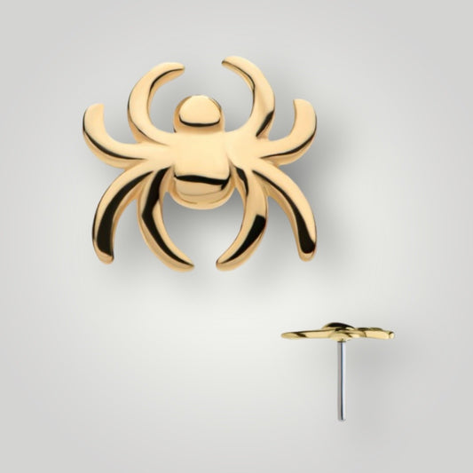 Spider in 14kt Yellow Gold